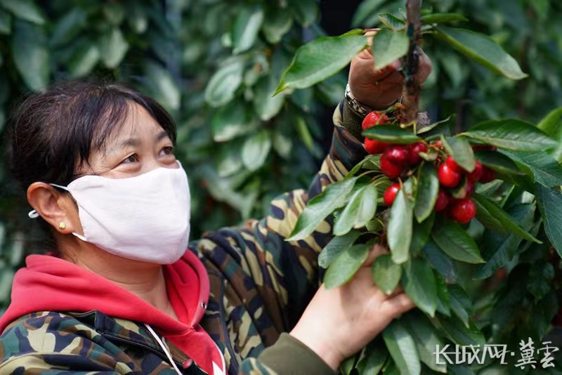 康恩农业富硒大米(富硒大米骗局)-硒宝网