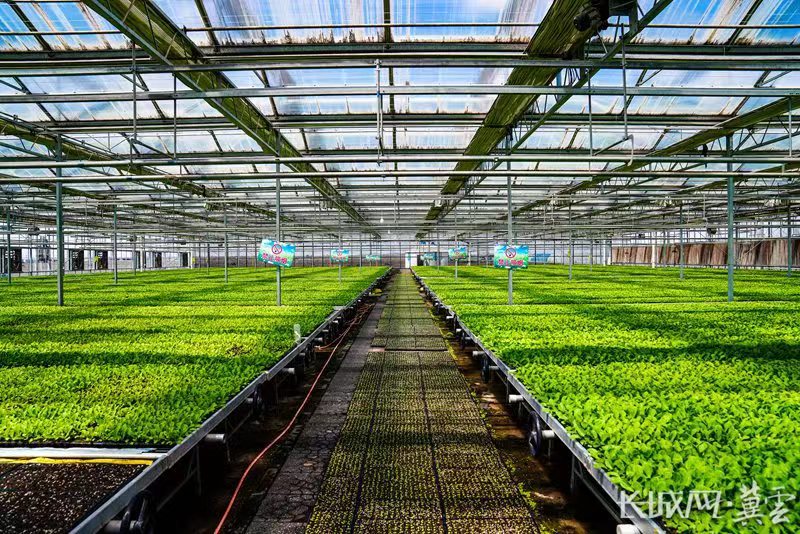 康恩农业富硒大米(富硒大米骗局)-硒宝网