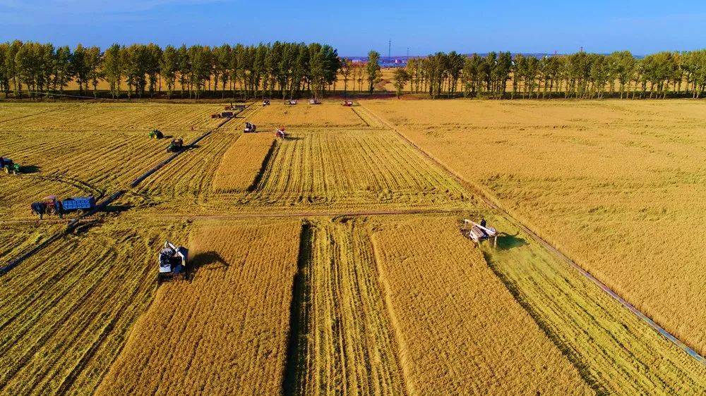 宜春富硒大米价格(宜春含硒大米)-硒宝网