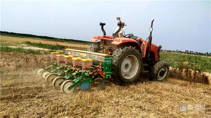 富硒大米种植选地（富硒大米的种植）-硒宝网