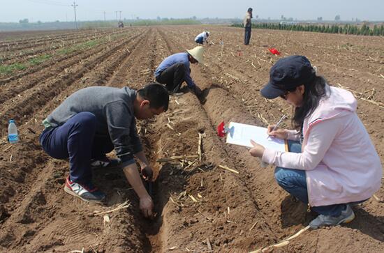 富硒大米种植选地（富硒大米的种植）-硒宝网