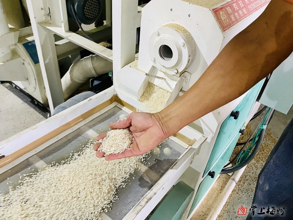 双阳石溪富硒大米（富硒大米2.5公斤价格）-硒宝网