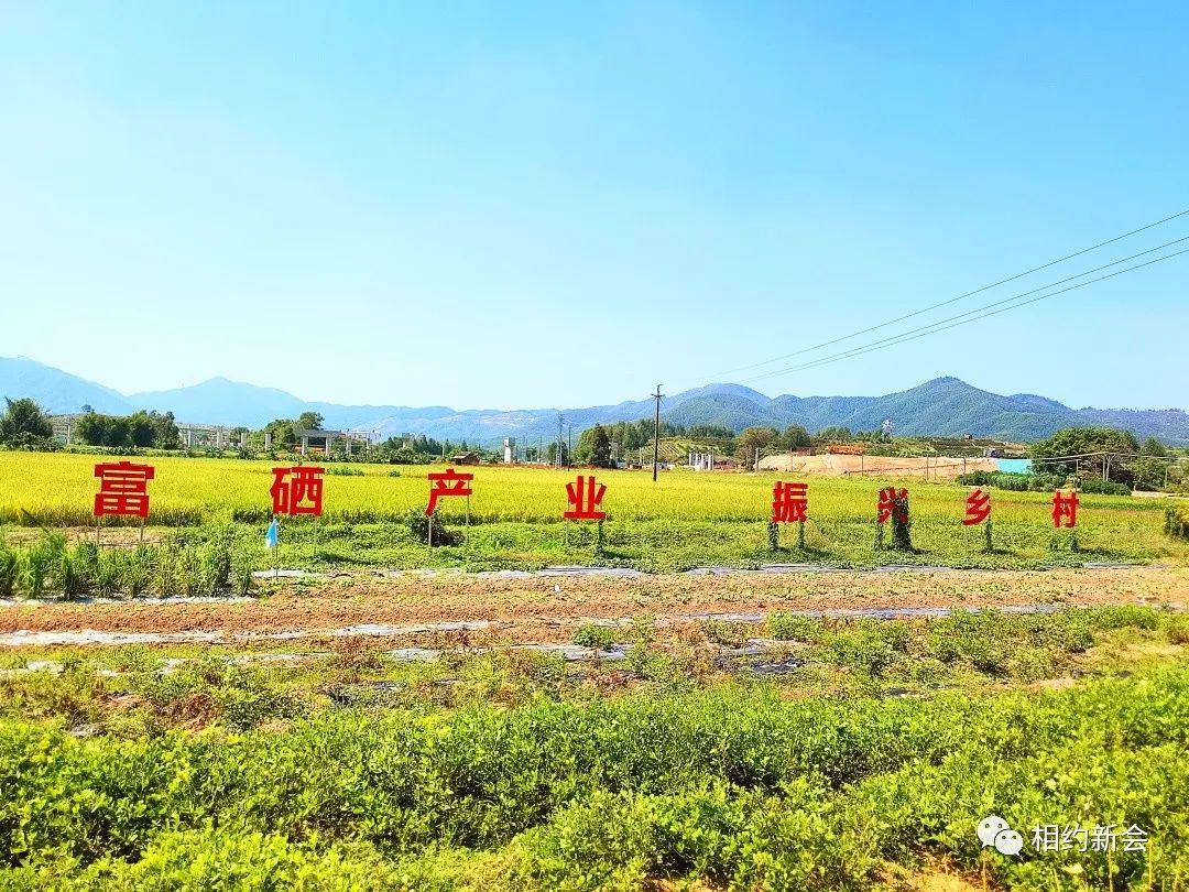 大米富硒后的好处（富硒大米吃多了会中毒吗）-硒宝网