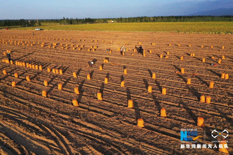 宝清富硒大米于芳(富硒大米粉)-硒宝网