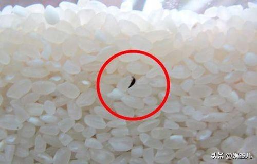 富硒大米需要买吗(大米买富硒需要泡多久)-硒宝网