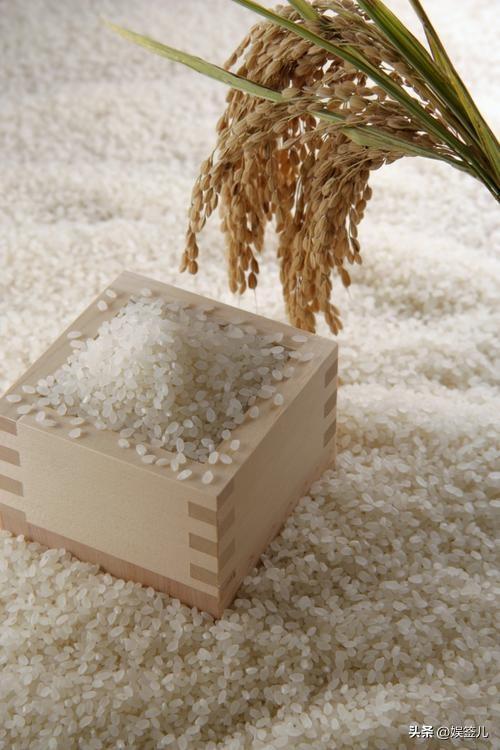 富硒大米需要买吗(大米买富硒需要泡多久)-硒宝网