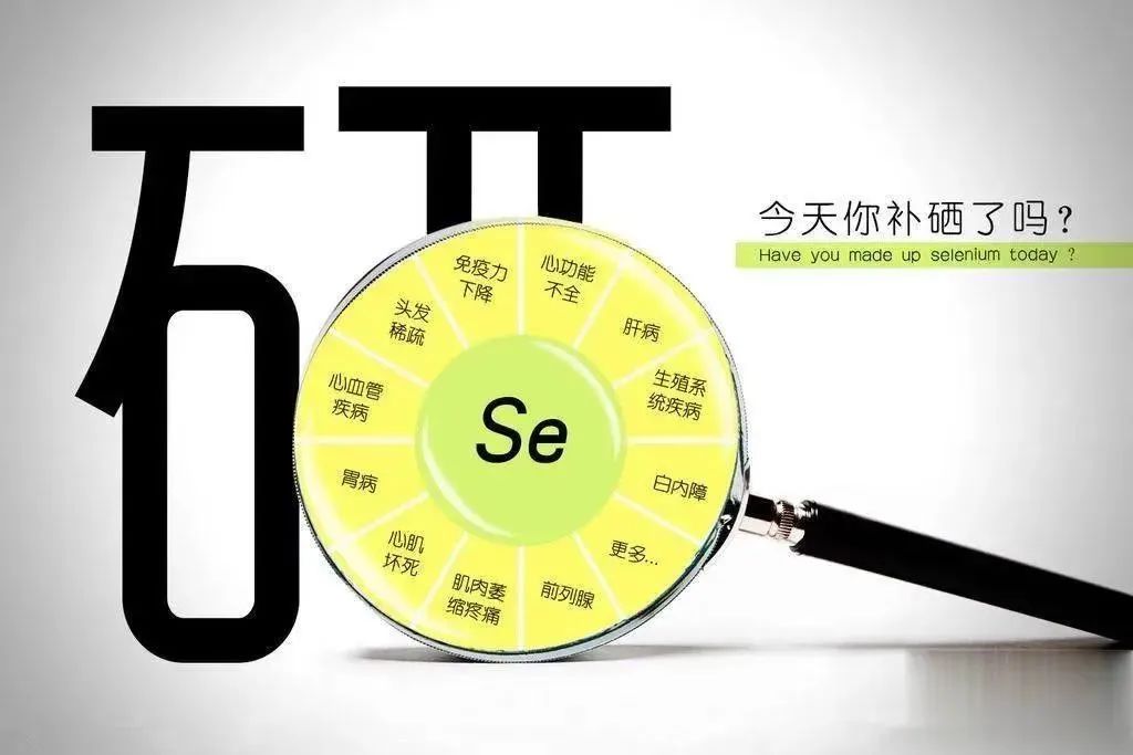 富硒米比大米好吗(大米米富硒好吃吗)-硒宝网