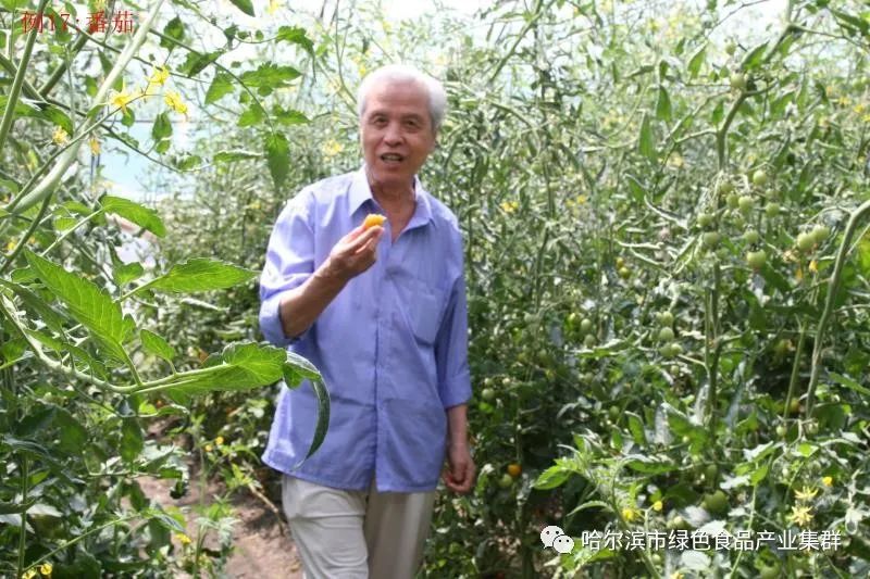 东北富硒钙锌大米（大米钙锌东北富硒含量）-硒宝网