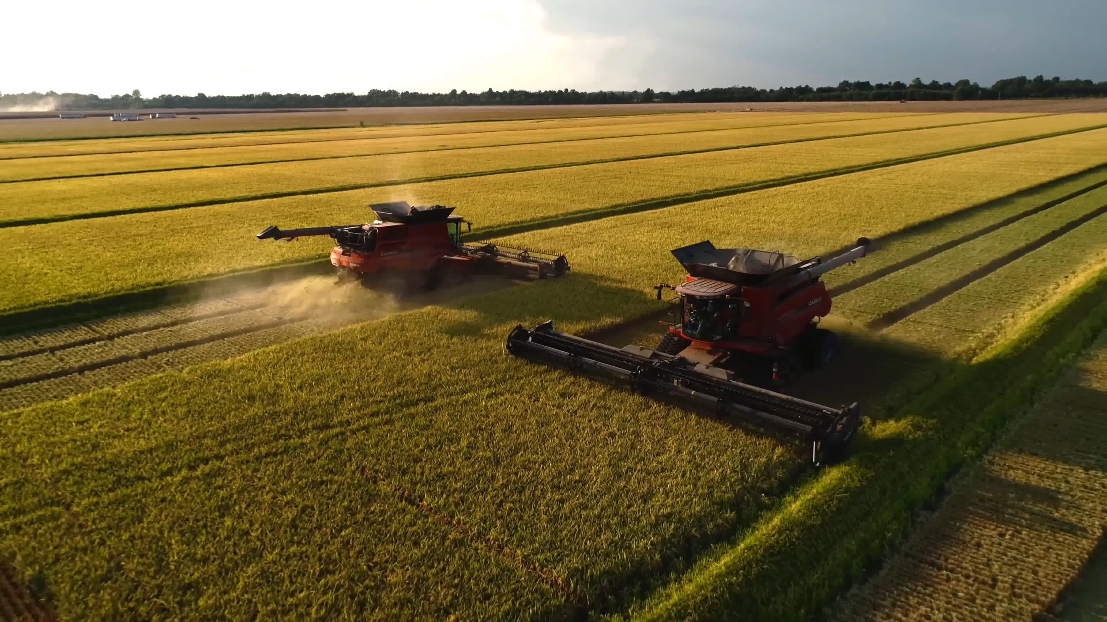 富硒大米生产基地(大米基地生产富硒产品)-硒宝网