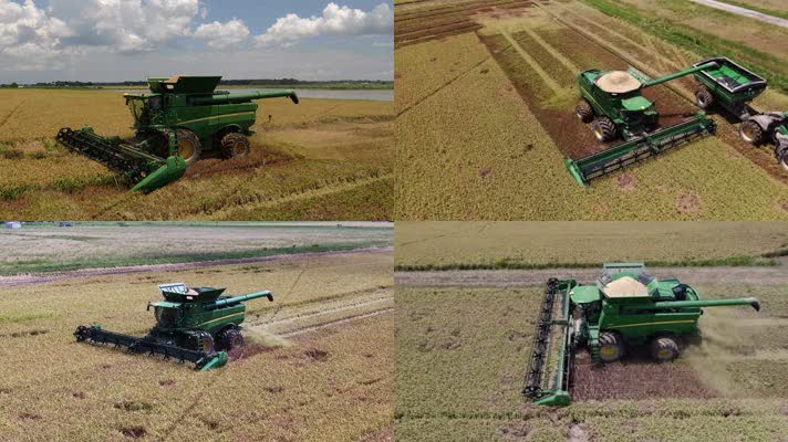 富硒大米生产基地(大米基地生产富硒产品)-硒宝网