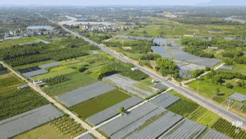 富硒大米买哪家的（富硒的大米）-硒宝网