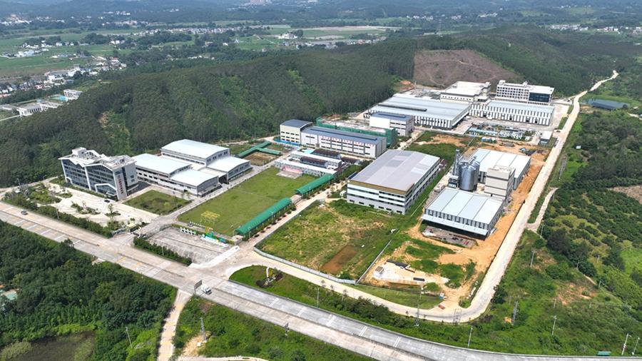 石湾富硒大米价格(富硒大米多少钱一袋)-硒宝网