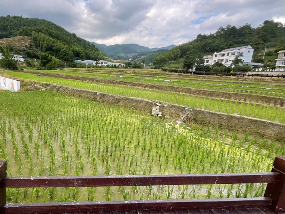 上堡梯田富硒大米(宝清富硒大米)-硒宝网