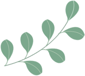 上堡梯田富硒大米(宝清富硒大米)-硒宝网