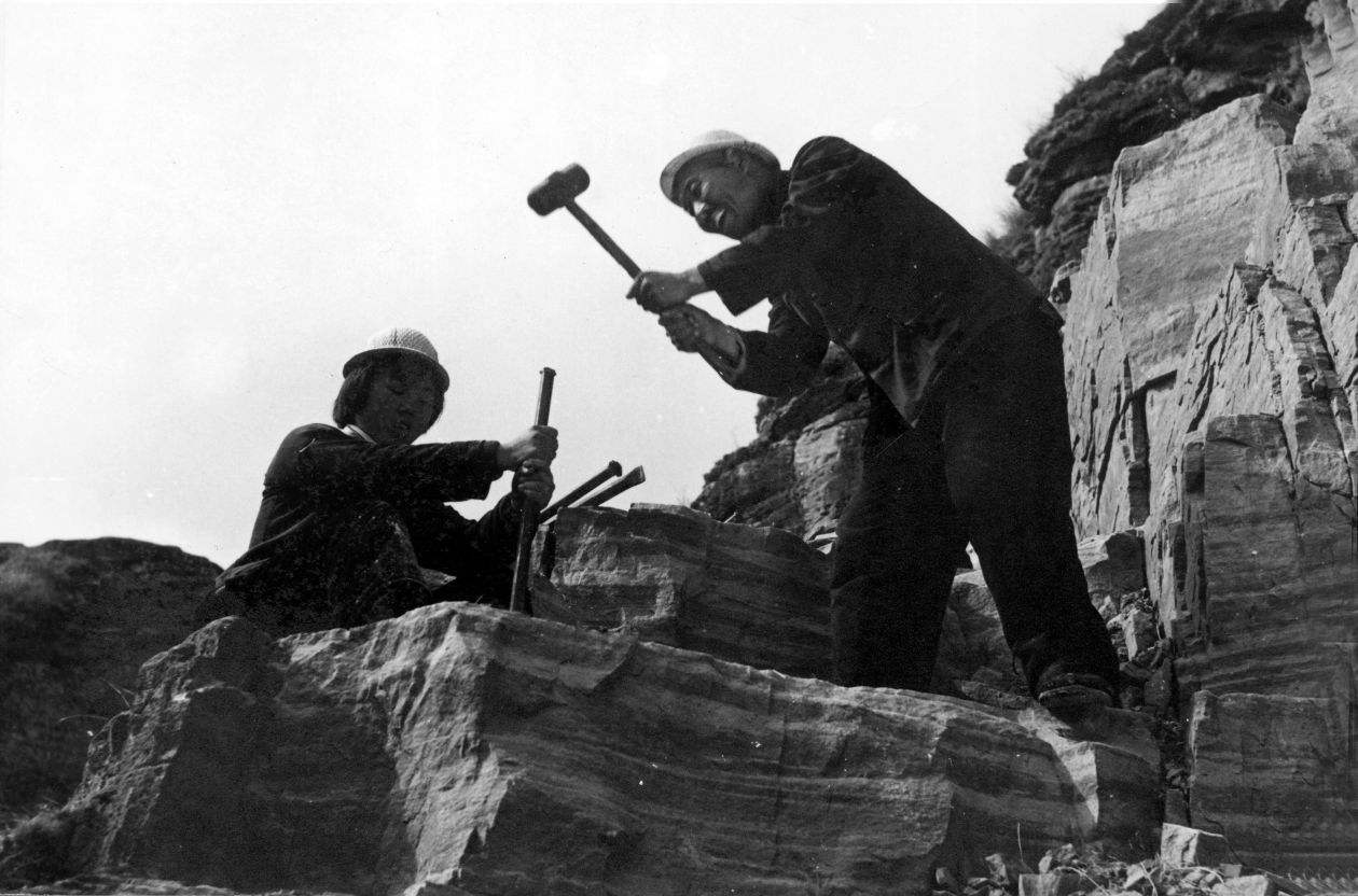 富硒香米万昌大米（万安富硒大米）-硒宝网