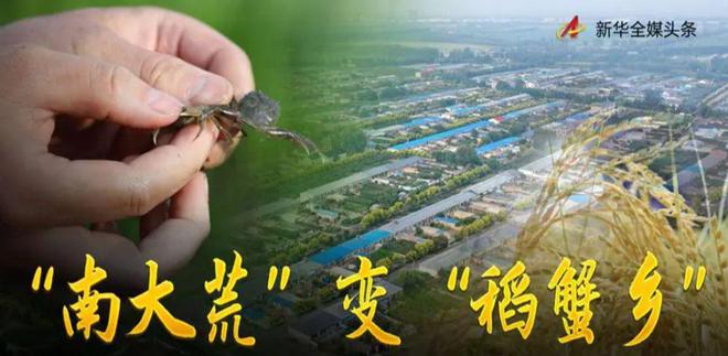 茗越家乡富硒大米(富硒优质大米)-硒宝网