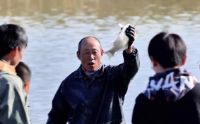 和安方正富硒大米(方正富硒米多少钱一斤)-硒宝网