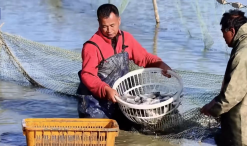 和安方正富硒大米(方正富硒米多少钱一斤)-硒宝网