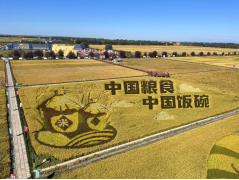 和安方正富硒大米(方正富硒米多少钱一斤)-硒宝网