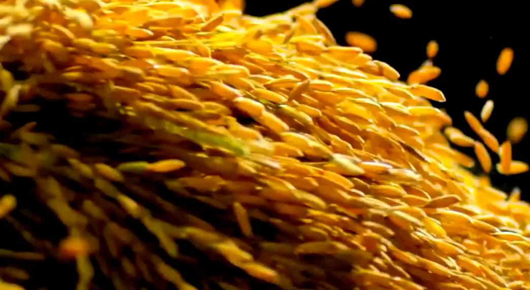 木格北一富硒大米（富硒大米口感如何）-硒宝网