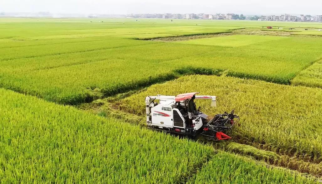 木格北一富硒大米（富硒大米口感如何）-硒宝网