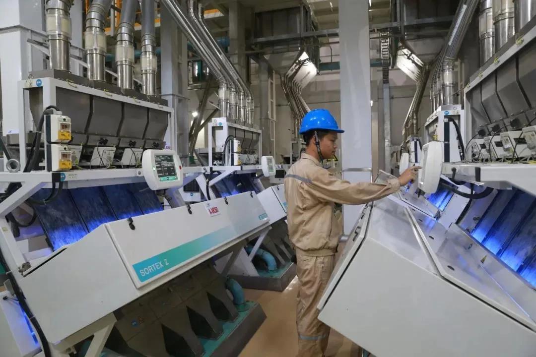 木格北一富硒大米（富硒大米口感如何）-硒宝网