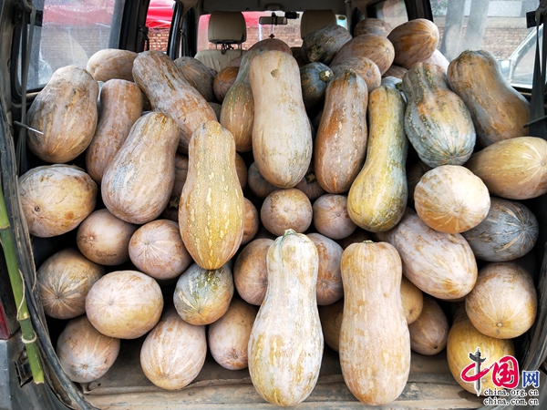 溪家田园富硒大米(富硒生态大米价格表)-硒宝网