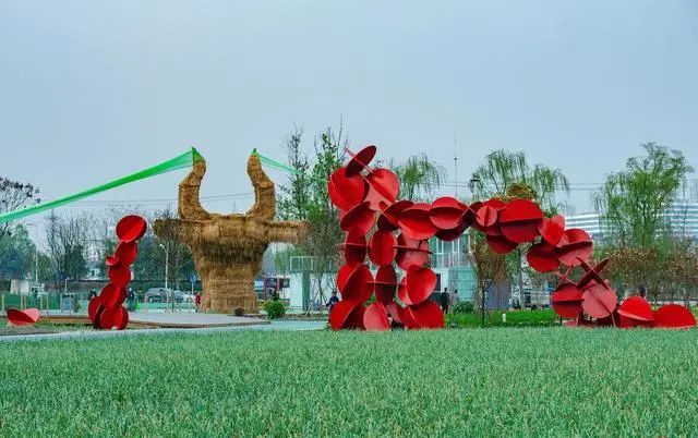 量子高钙富硒大米（大米钙量子富硒高吗）-硒宝网