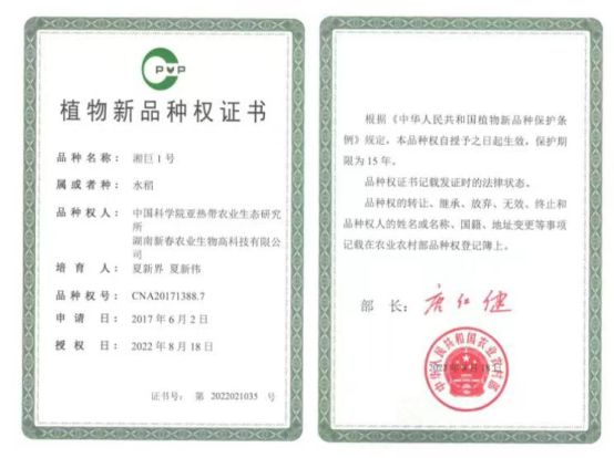 平顶山富硒锌大米（富硒富锌大米）-硒宝网