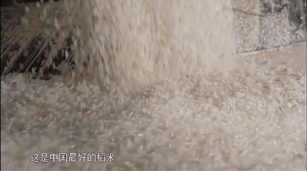 五常大米富硒香米(五常大米富硒米的价钱)-硒宝网