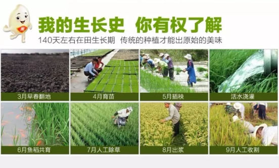 五常大米富硒香米(五常大米富硒米的价钱)-硒宝网