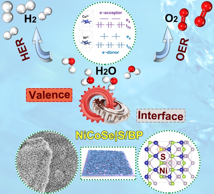 富硒大米的转化率（大米转化率富硒多少）-硒宝网