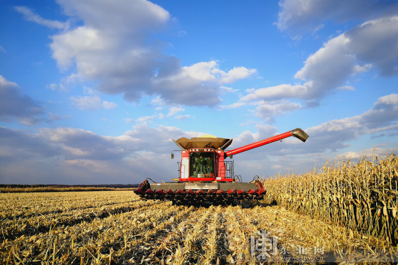 水韵苏米富硒大米(大米姐富硒米)-硒宝网