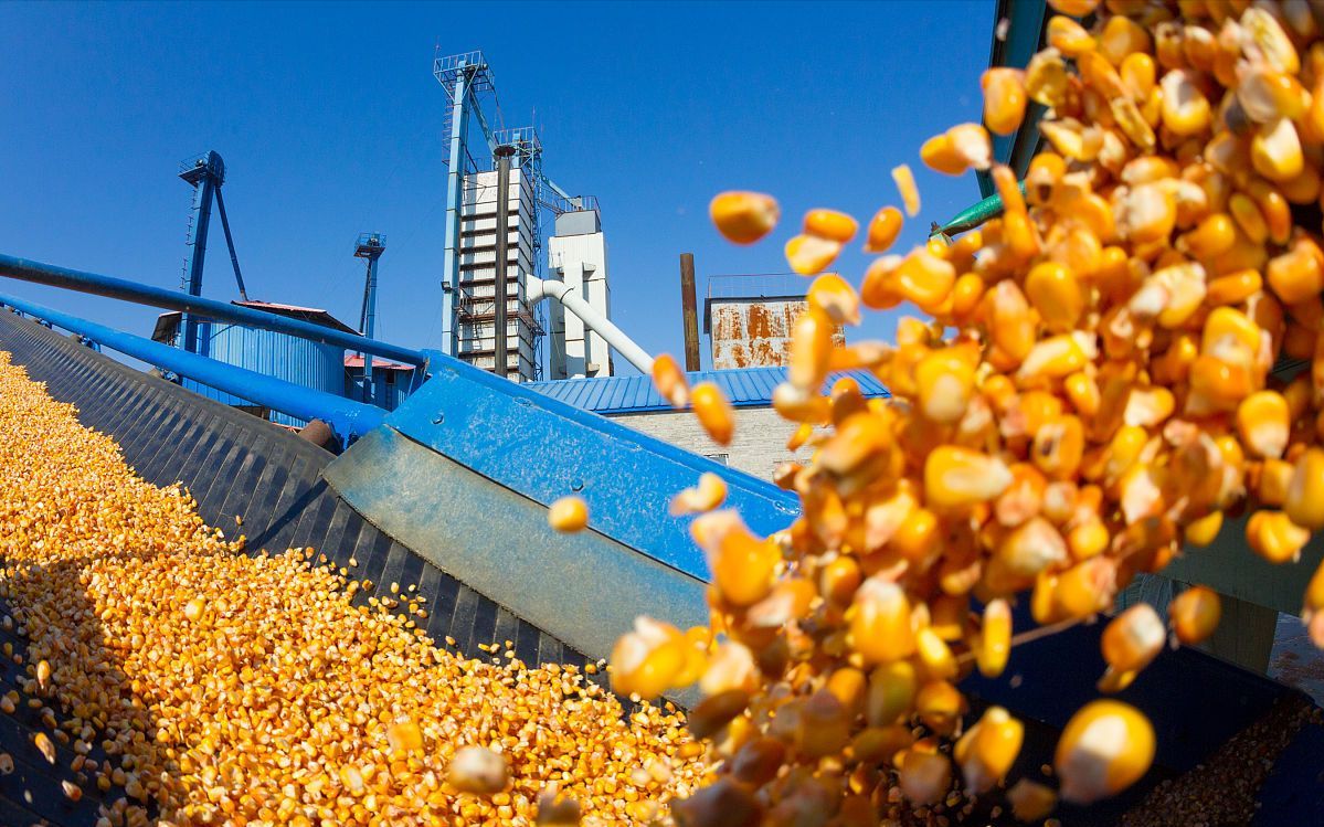 水韵苏米富硒大米(大米姐富硒米)-硒宝网