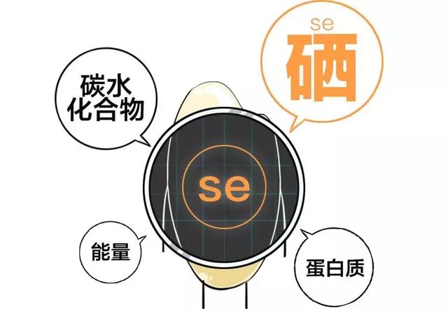 富硒大米用不用淘（用大米淘富硒米可以吗）-硒宝网