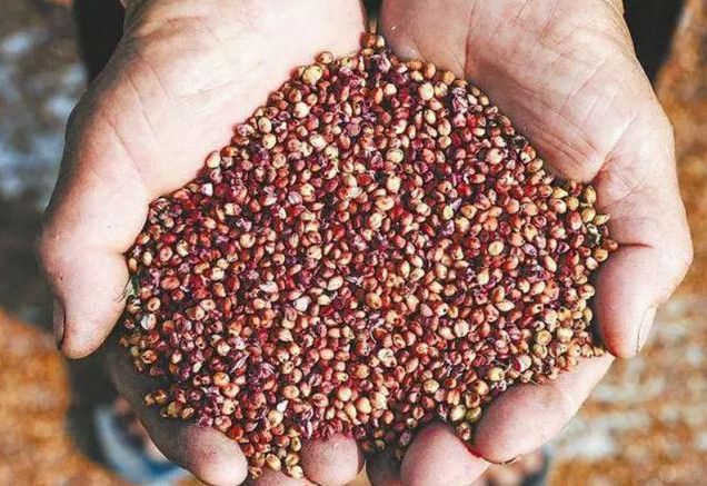 富硒大米酒价格表（富硒大米标准号）-硒宝网