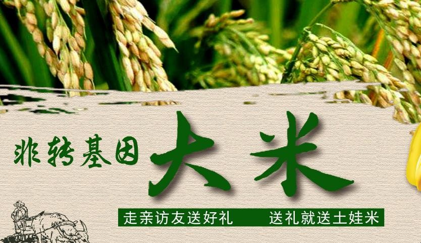 姜湖富硒大米价格（姜湖贡米多少一斤）-硒宝网