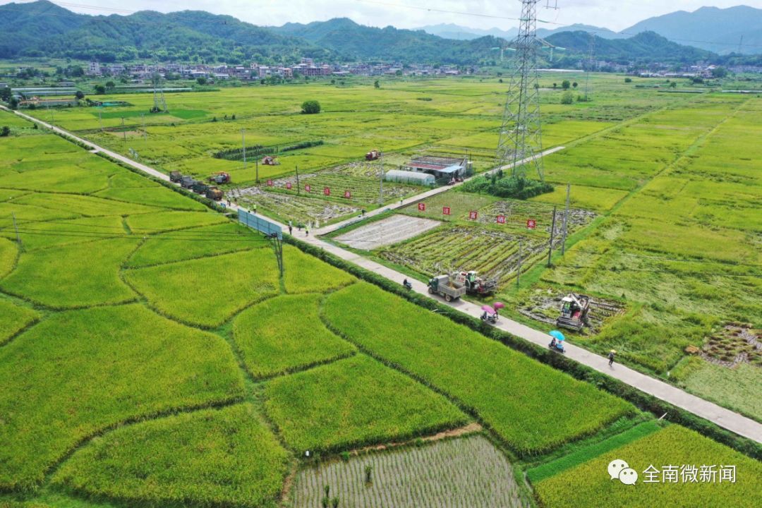 富硒大米市场推广(大米推广富硒市场调研报告)-硒宝网