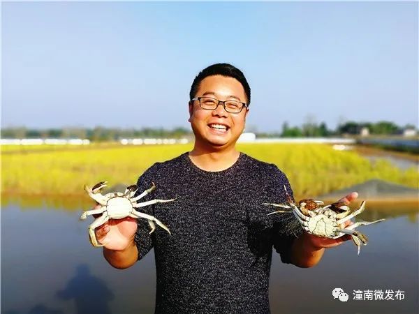 富硒稻蟹大米价格（蟹稻米与普通大米区别）-硒宝网