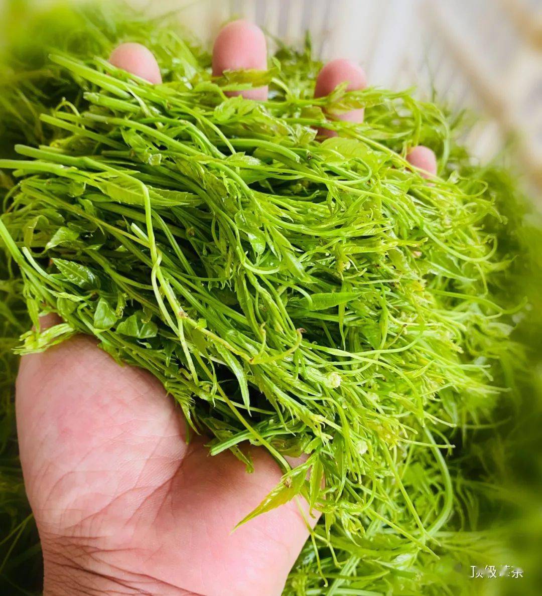 富硒大米酒价格表（富硒大米2.5公斤价格）-硒宝网