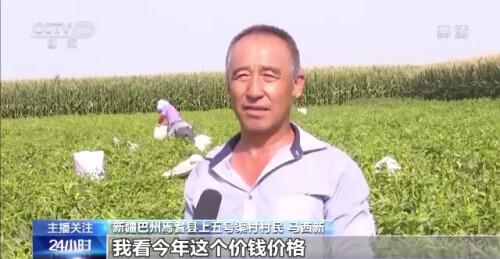 安远县富硒大米厂（安微富硒大米）-硒宝网