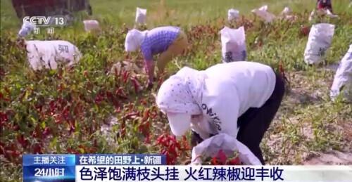 安远县富硒大米厂（安微富硒大米）-硒宝网