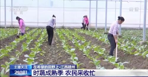 安远县富硒大米厂（安微富硒大米）-硒宝网