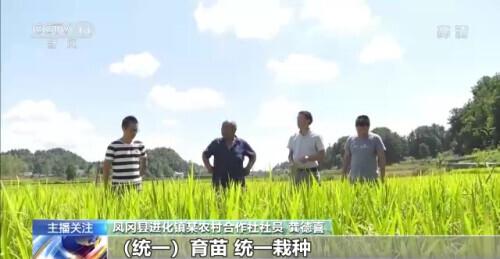 安远县富硒大米厂（安微富硒大米）-硒宝网