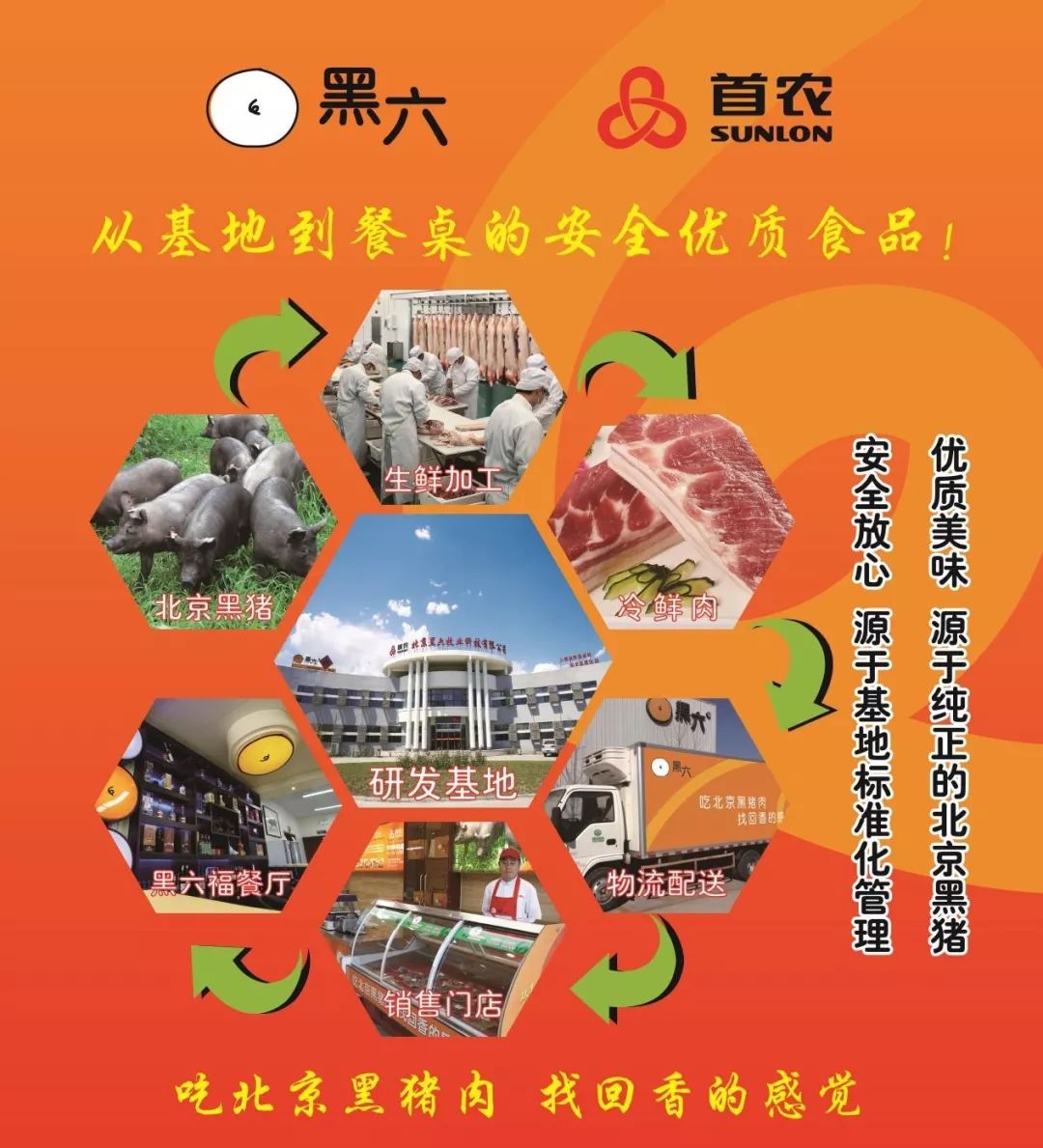 伏尔基河富硒大米(富硒大米真的有用吗)-硒宝网