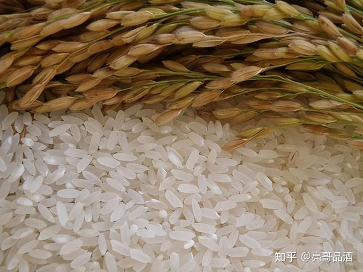 富硒大米有短米吗(富硒大米含硒吗)-硒宝网