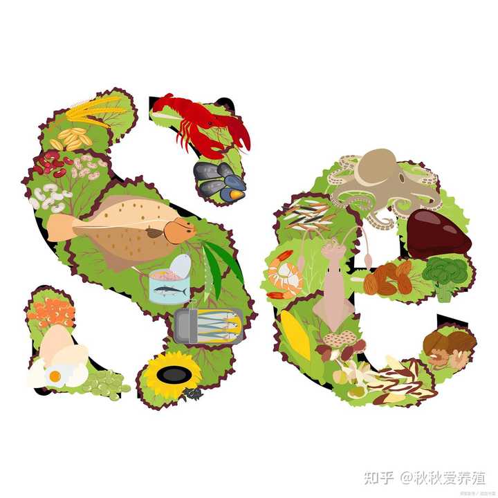 富硒大米怎么做的（富硒大米做法）-硒宝网