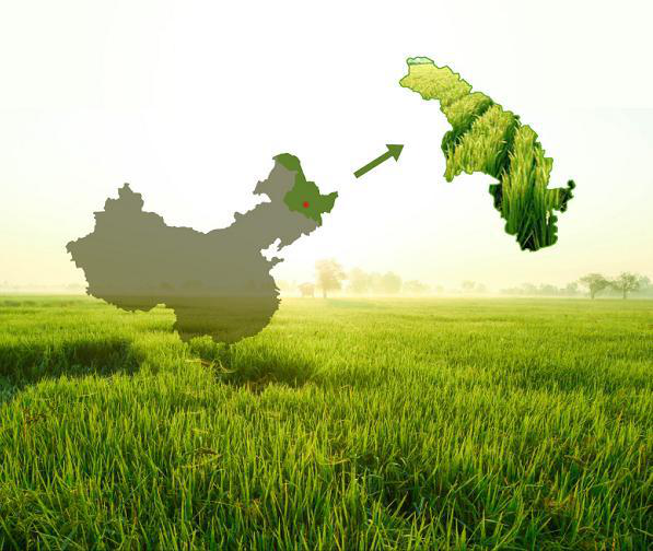 富硒大米放了四年（大米放富硒年糕好吗）-硒宝网