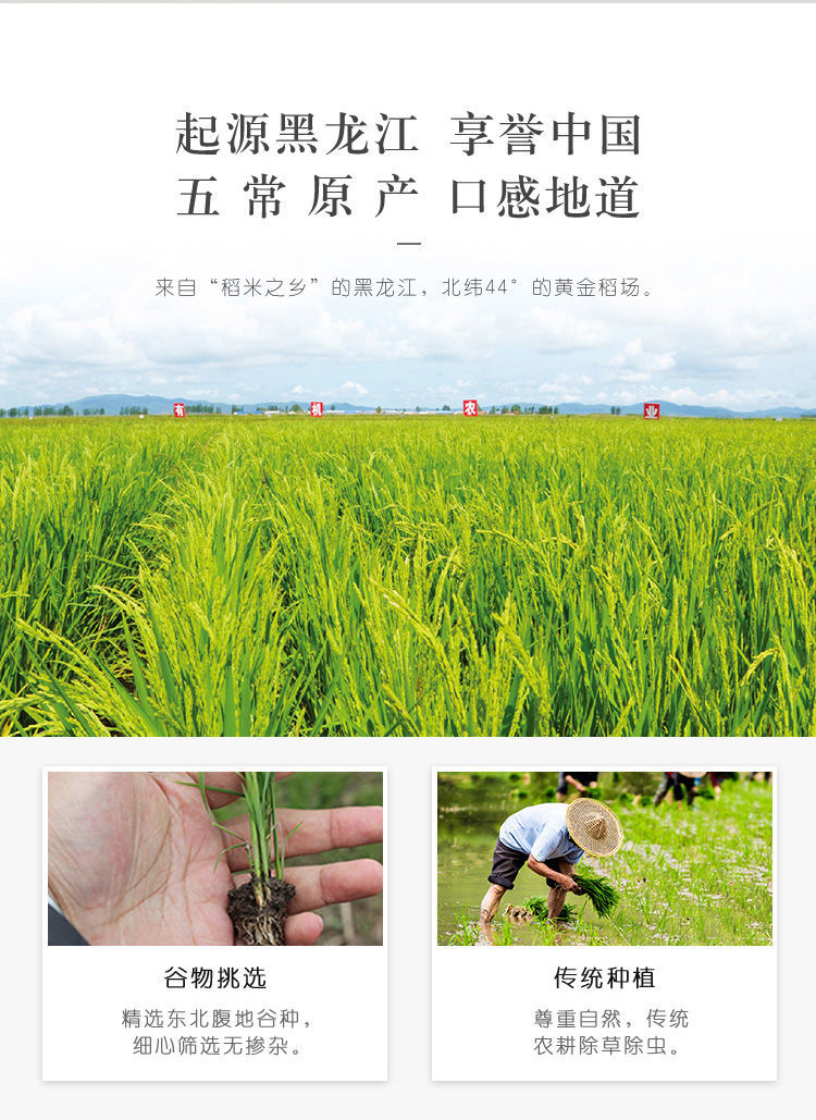 富硒大米放了四年（大米放富硒年糕好吗）-硒宝网