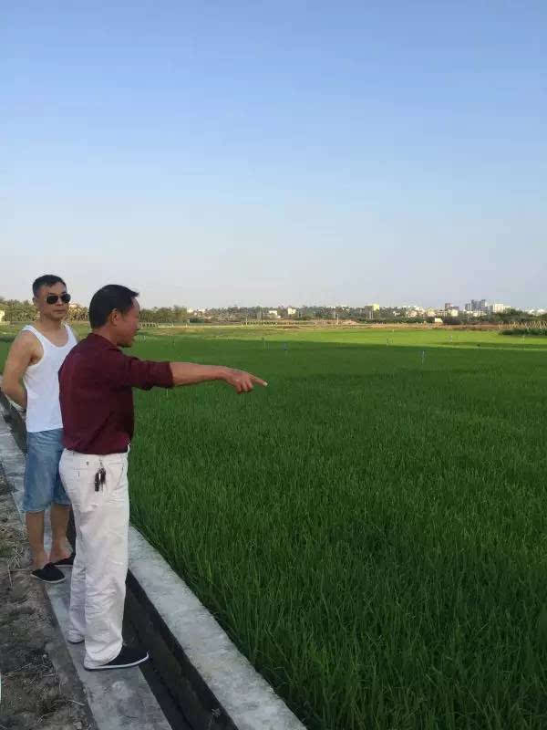 吉内得富硒大米5(大米吉富硒得内含量多少)-硒宝网